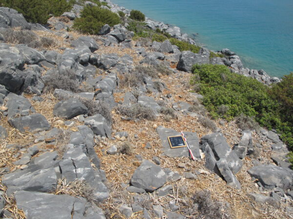 E 29 - Image 2