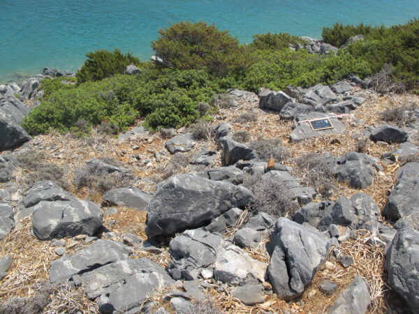 E 29 - Image 3