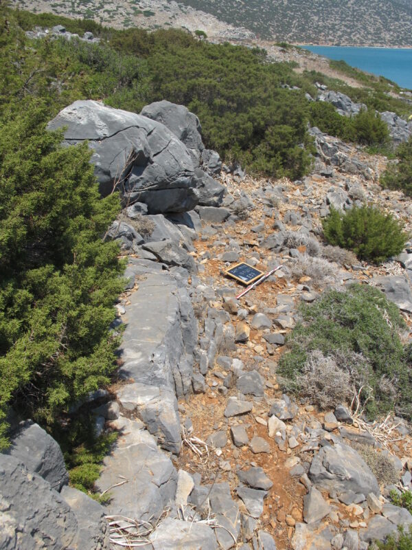 E 27 - Image 2