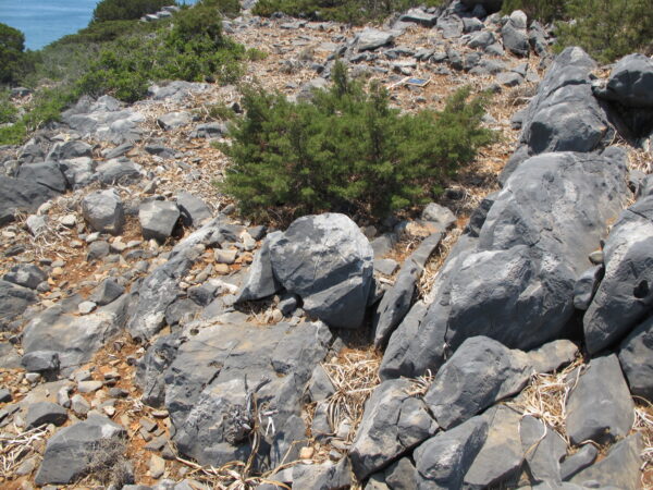 E 26 - Image 2