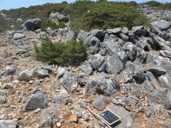 E 26 - Image 3