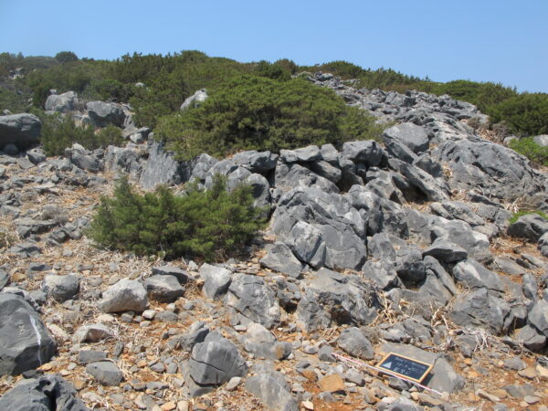 E 26 - Image 4