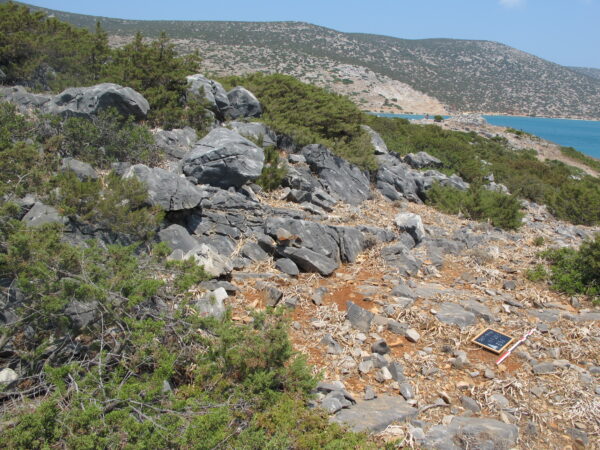 E 26 - Image 6