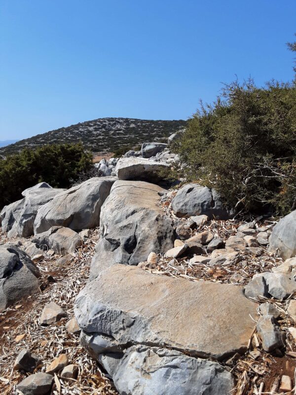 X7 - Image 5