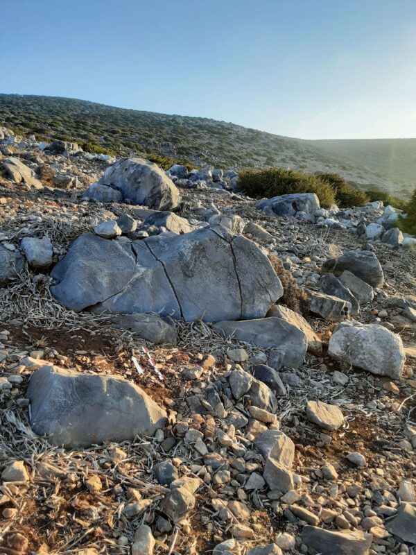 X9 - Image 2