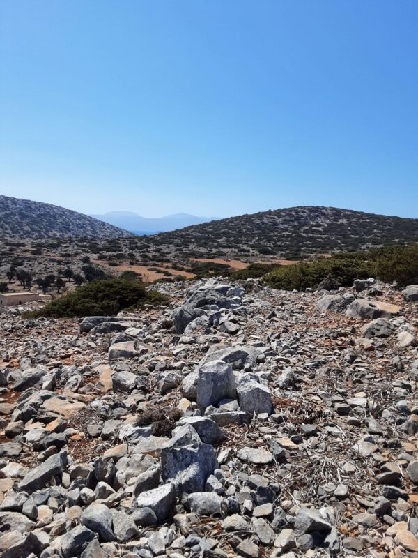 X12 - Image 7