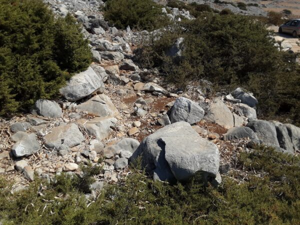 X6 - Image 3