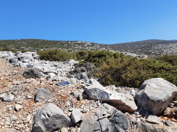 X11 - Image 3