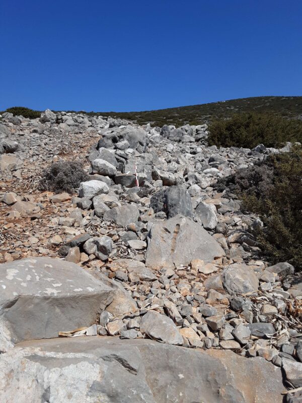 X11 - Image 4