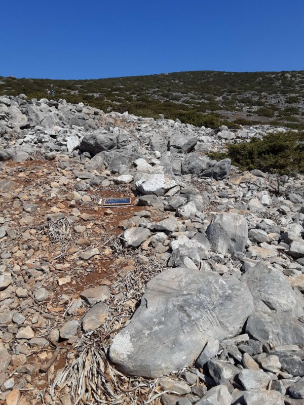 X11 - Image 9