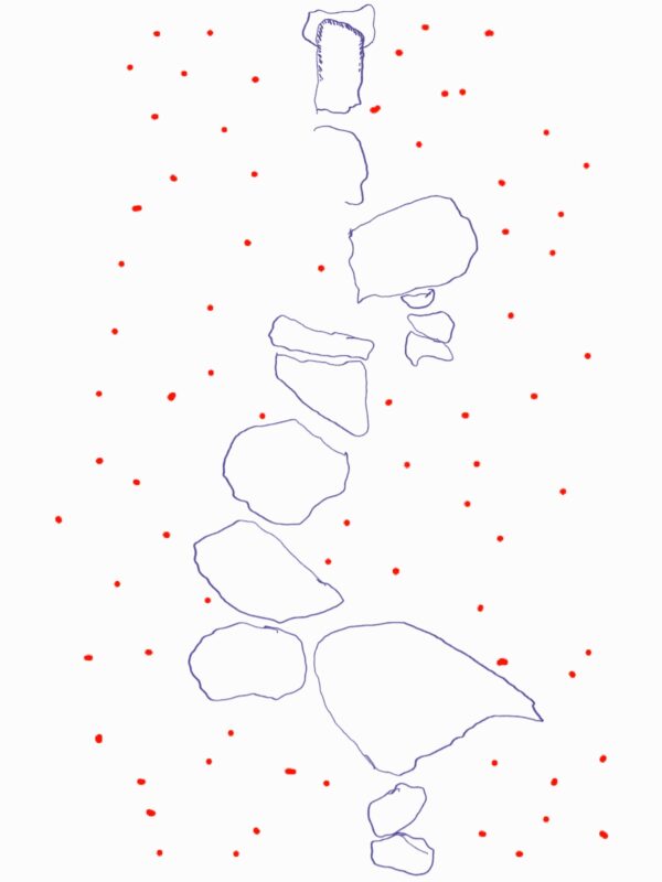 X11 - Image 17