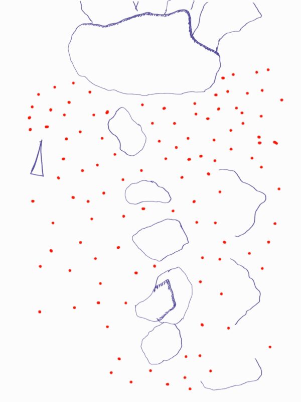 X11 - Image 19
