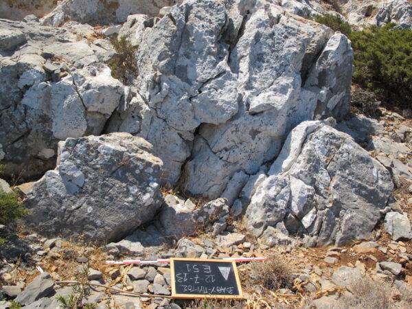 E51 - Image 3