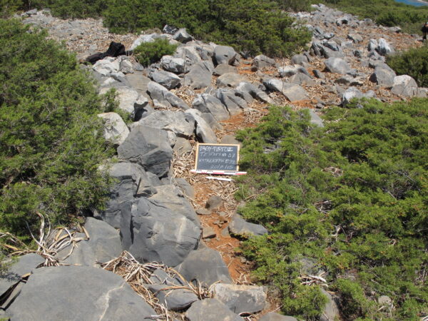 E92 - Image 3