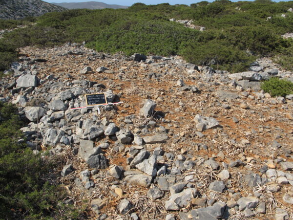 E100 - Image 3