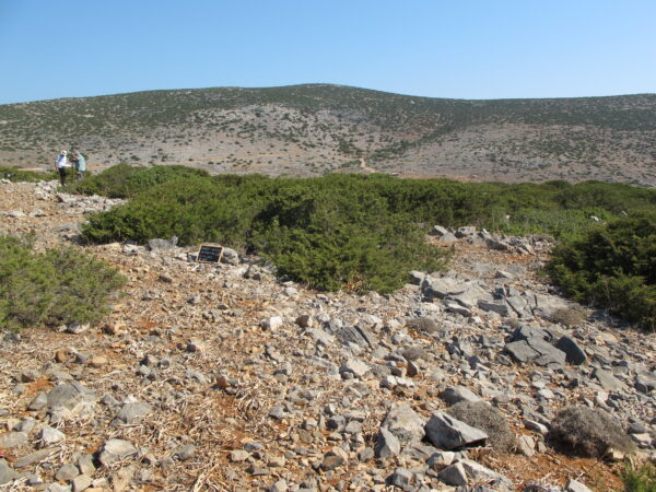 E100 - Image 7