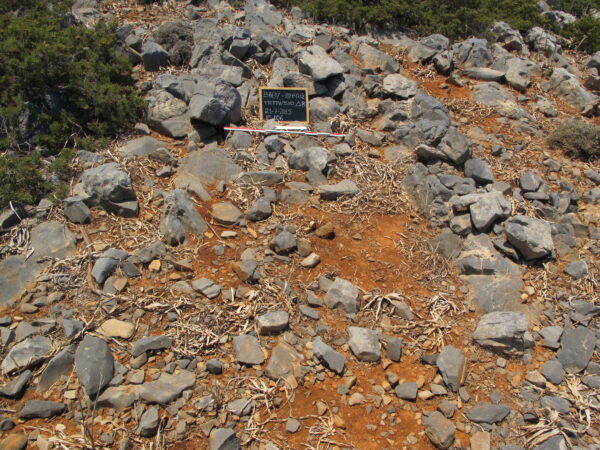 E106 - Image 2