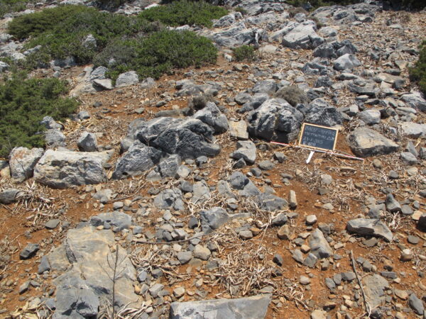 E108 - Image 2