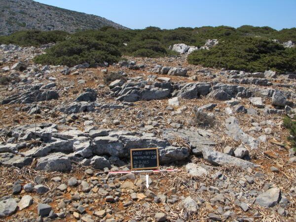 E102 - Image 3