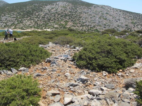 E105 - Image 3