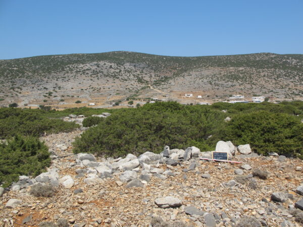 E107 - Image 3