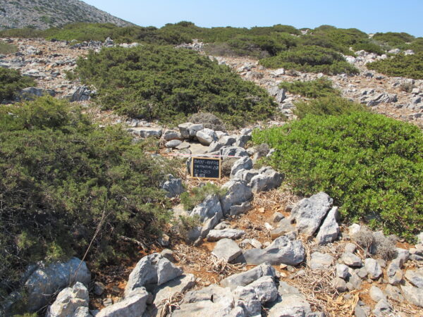 E101 - Image 2