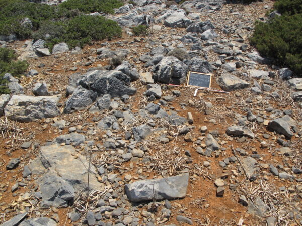 E108 - Image 3
