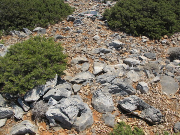 E105 - Image 4