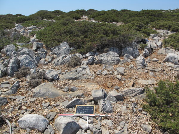 E103 - Image 4