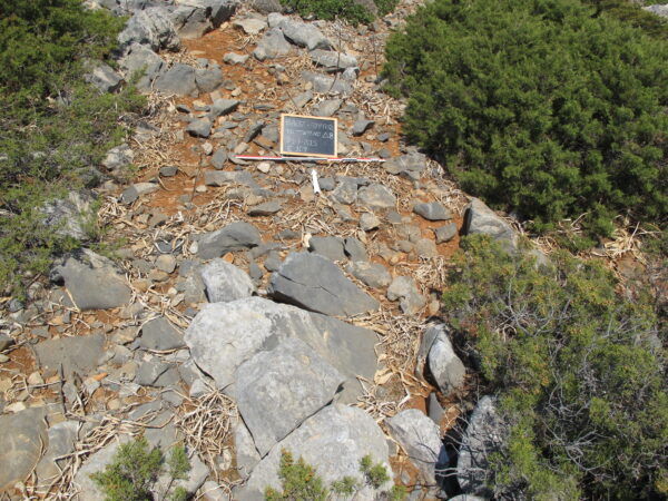 E109 - Image 5