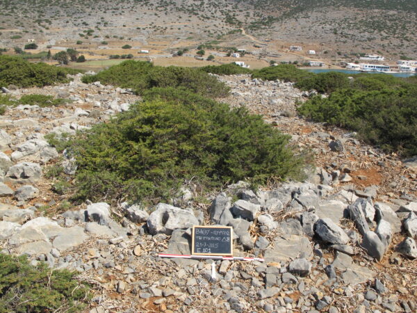 E101 - Image 3