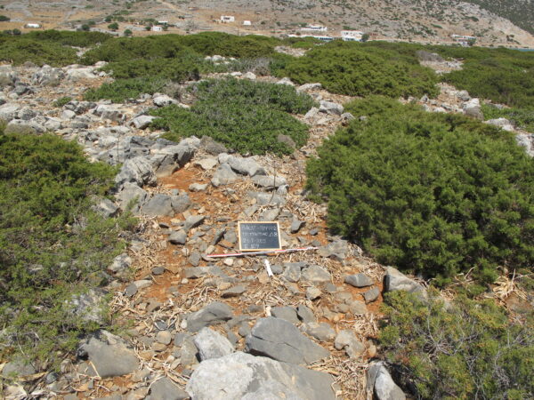 E109 - Image 6
