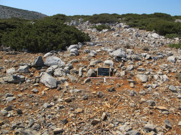 E102 - Image 5