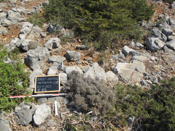 E101 - Image 5