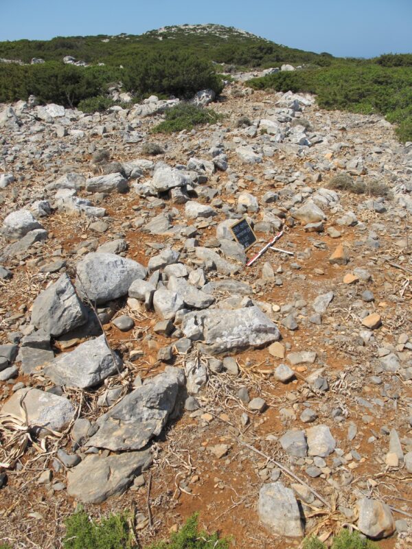 E102 - Image 6