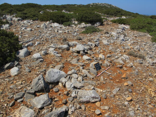 E102 - Image 7