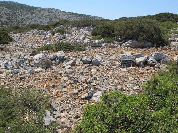 E102 - Image 11