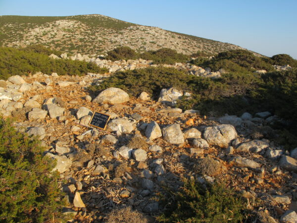 E110 - Image 2
