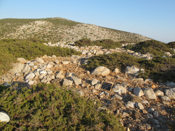 E110 - Image 3