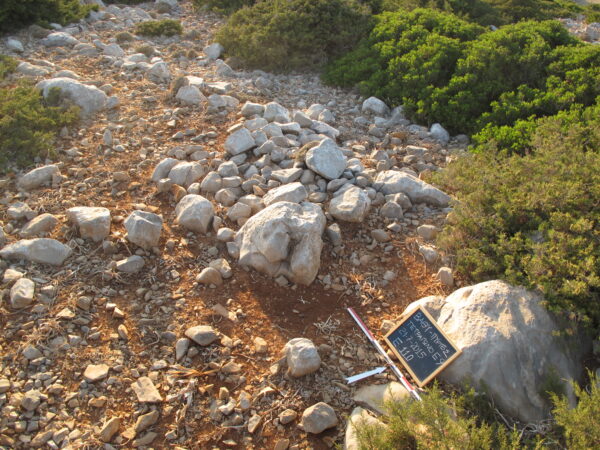 E110 - Image 6