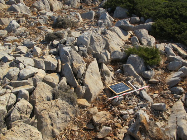 E113 - Image 3