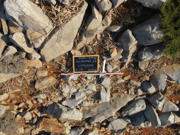 E113 - Image 4