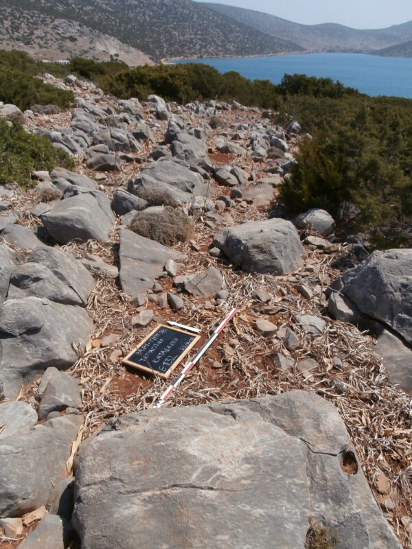 E132 - Image 2