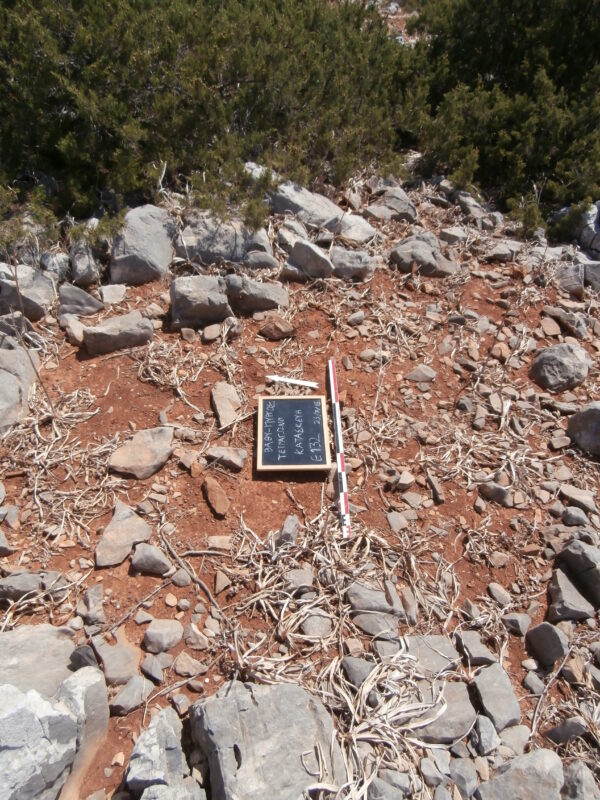 E132 - Image 4