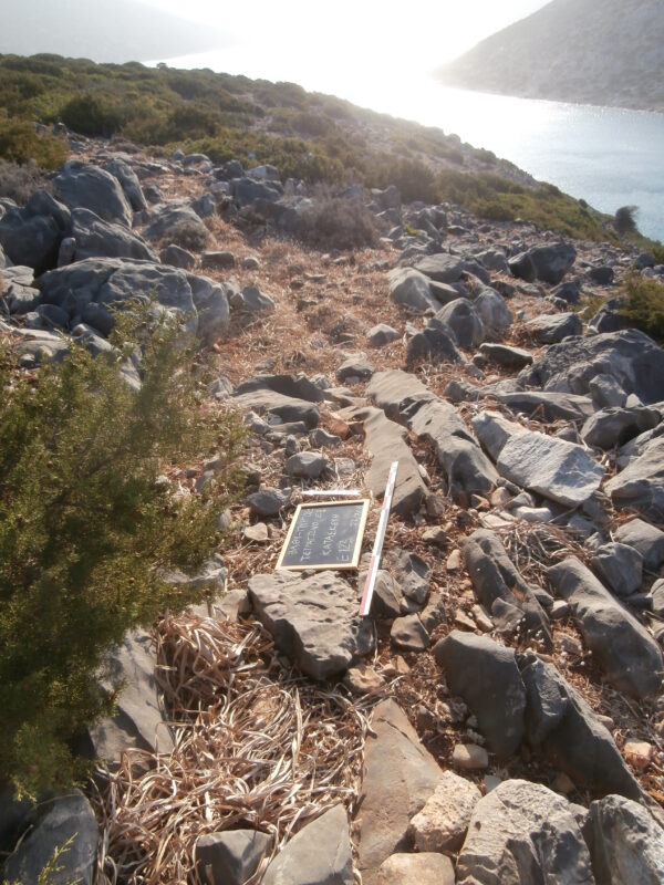 E123 - Image 2