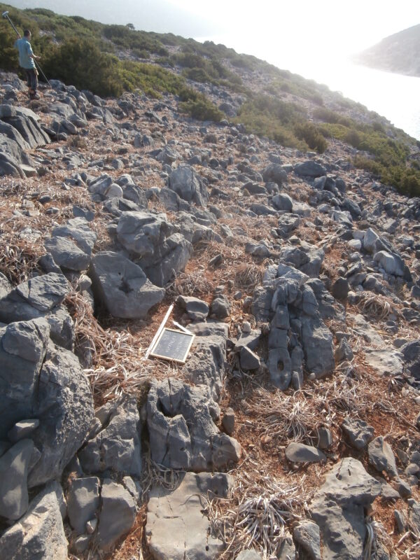 E124 - Image 2