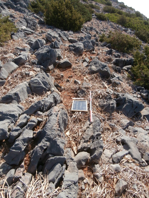 E128 - Image 2