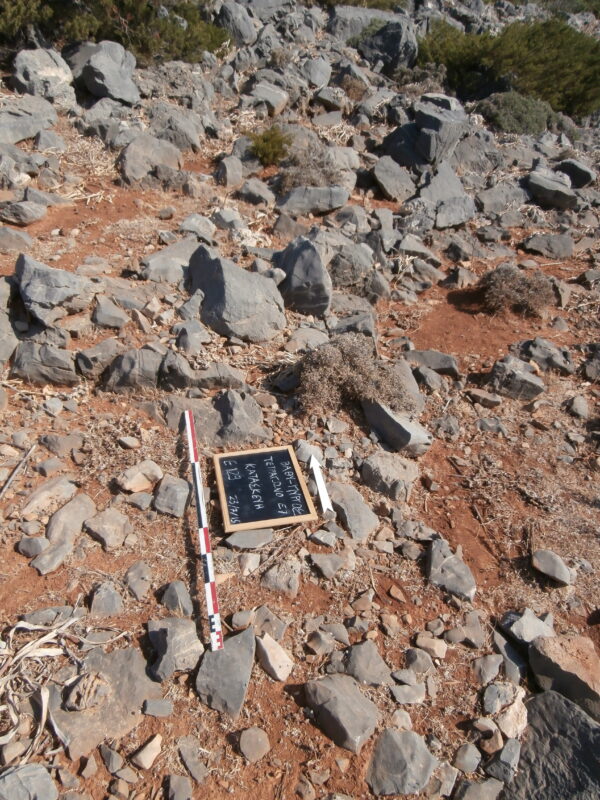 E129 - Image 2