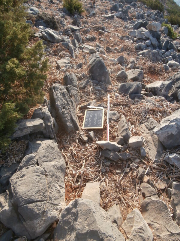 E122 - Image 2