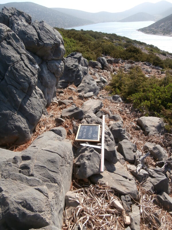 E130 - Image 2